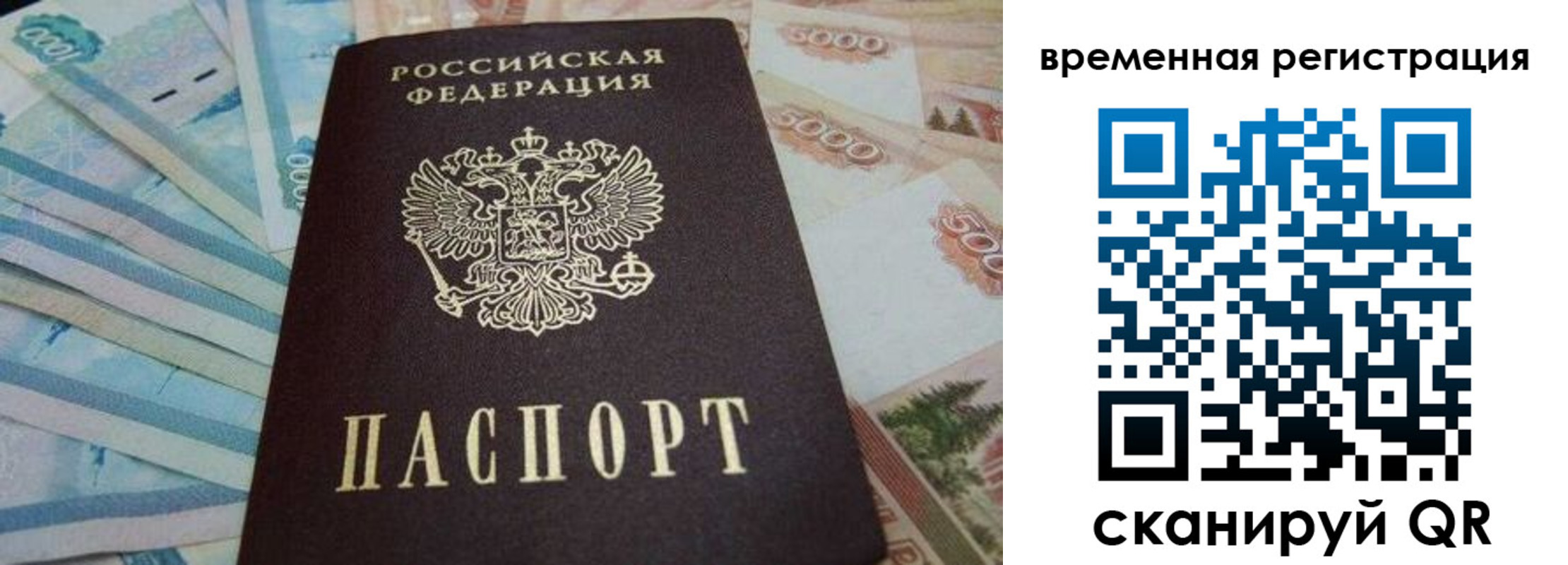 временная регистрация гарантия в Ленинградской области