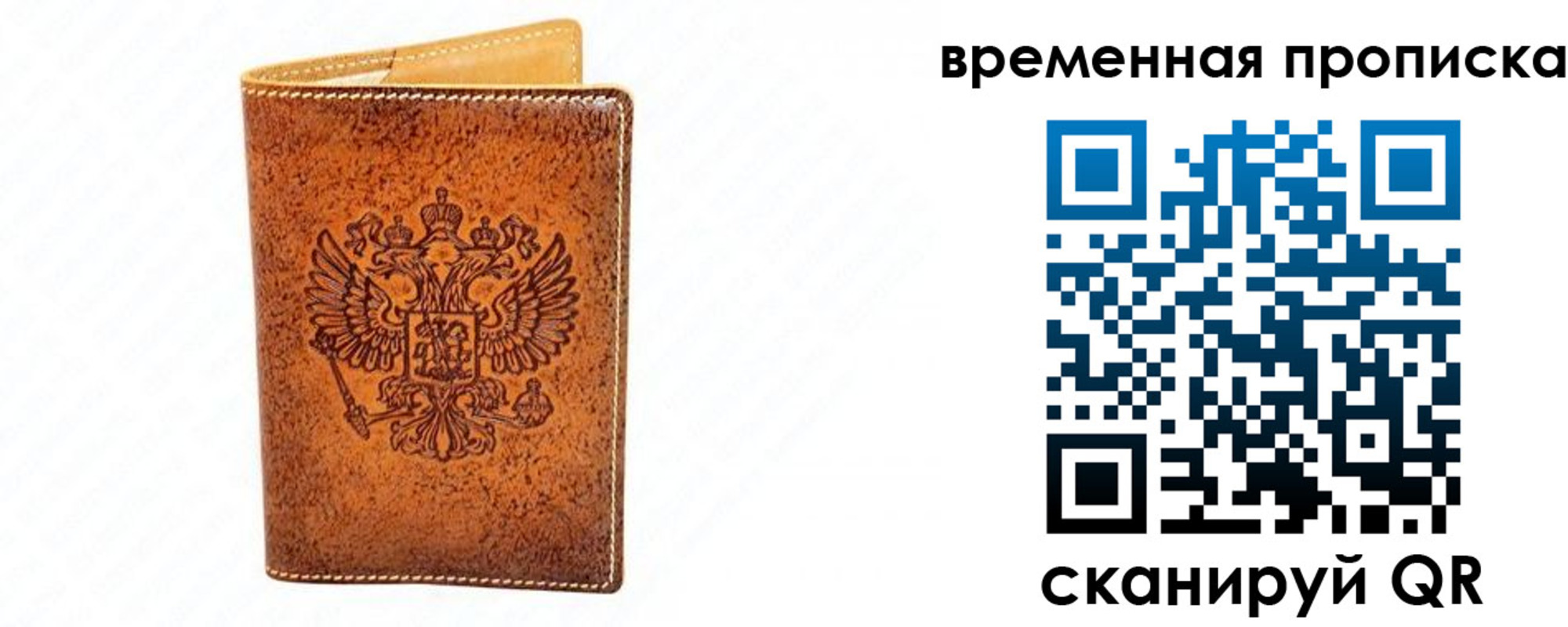 прописка ребенка в Ленинградской области